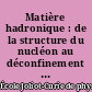 Matière hadronique : de la structure du nucléon au déconfinement des quarks : Maubuisson, Gironde, 17e session, 7-12 septembre 1998