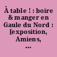 À table ! : boire & manger en Gaule du Nord : [exposition, Amiens, Musée de Picardie, 11 mai-1er décembre 2013]