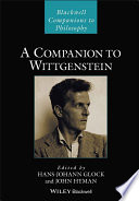 A companion to Wittgenstein