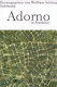 Adorno in Frankfurt : ein Kaleidoskop mit Texten und Bildern
