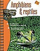 Amphibiens et reptiles