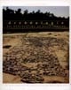 Archéologie des sanctuaires en Gaule romaine : [Table ronde organisée à l'Université Jean Monnet, Saint-Etienne, 1999]