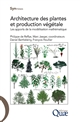 Architecture des plantes et production végétale : les apports de la modélisation mathématique