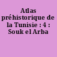 Atlas préhistorique de la Tunisie : 4 : Souk el Arba