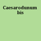 Caesarodunum bis
