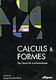 Calculs et formes : de l'activité mathématiques
