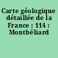 Carte géologique détaillée de la France : 114 : Montbéliard