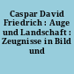 Caspar David Friedrich : Auge und Landschaft : Zeugnisse in Bild und Wort