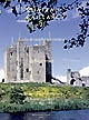 Château Gaillard : études de castellologie médiévale : 21 : La basse-cour : actes du colloque international de Maynooth (Irlande), 23-30 août 2002