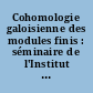 Cohomologie galoisienne des modules finis : séminaire de l'Institut de mathématiques de Lille