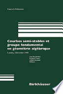 Courbes semi-stables et groupe fondamental en géométrie algébrique : Luminy, décembre 1998