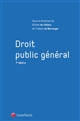 Droit public général : institutions politiques, administratives et européennes, droit administratif, finances publiques et droit fiscal