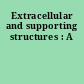 Extracellular and supporting structures : A