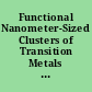 Functional Nanometer-Sized Clusters of Transition Metals : Synthesis, Properties and Applications