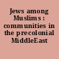 Jews among Muslims : communities in the precolonial MiddleEast