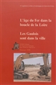 L'âge du fer dans la boucle de la Loire : les Gaulois sont dans la ville : actes du XXXIIe colloque