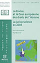 La France et la Cour européenne des droits de l'homme : la jurisprudence en 2003 : présentation, commentaires et débats