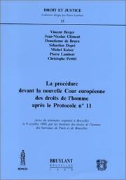 La procédure devant la nouvelle Cour européenne des droits de l'homme après le Protocole n1̊1 : actes du séminaire organisé à Bruxelles le 9 octobre 1998