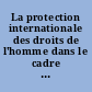 La protection internationale des droits de l'homme dans le cadre européen : Travaux