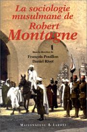La sociologie musulmane de Robert Montagne : actes du colloque EHESS & Collège de France, Paris, 5-7 juin 1997