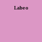 Labeo