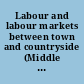 Labour and labour markets between town and countryside (Middle Ages-19th century)