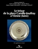 Le trésor de la place Camille-Jouffray à Vienne, Isère : un dépôt d'argenterie et son contexte archéologique
