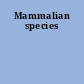 Mammalian species