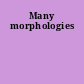 Many morphologies