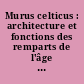 Murus celticus : architecture et fonctions des remparts de l'âge du Fer