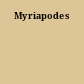 Myriapodes