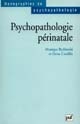 Psychopathologie périnatale : [1ère journée d'étude, Université de Paris-VII-Denis-Diderot, 1997]