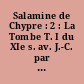 Salamine de Chypre : 2 : La Tombe T. I du XIe s. av. J.-C. par Marguerite Yon. Avec une contribution de P. [Paul] Barguet,... : Plans et dessins par P.-A. Pironin et I. Markou