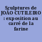 Sculptures de JOÃO CUTILEIRO : exposition au carré de la farine