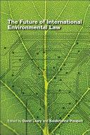 The future of international environmental law