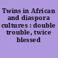 Twins in African and diaspora cultures : double trouble, twice blessed