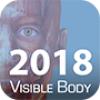 Visible body - Atlas d'anatomie humaine en 3D - Muscle Premium