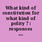 What kind of constitution for what kind of polity ? : responses to Joschka Fischer