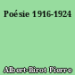 Poésie 1916-1924