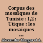 Corpus des mosaïques de Tunisie : I,2 : Utique : les mosaïques "in situ" en dehors des "Insulae" I-II-III