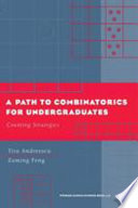 A path to combinatorics for undergraduates : counting strategies