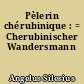 Pèlerin chérubinique : = Cherubinischer Wandersmann