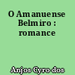 O Amanuense Belmiro : romance