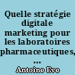 Quelle stratégie digitale marketing pour les laboratoires pharmaceutiques, pourquoi et comment mettre en place une politique d'e-services ?