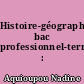 Histoire-géographie, bac professionnel-terminale : activités