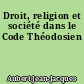 Droit, religion et société dans le Code Théodosien