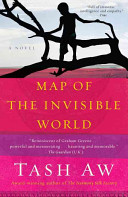 Map of the invisible world : a novel