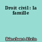 Droit civil : la famille