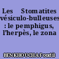 Les 	Stomatites vésiculo-bulleuses : le pemphigus, l'herpès, le zona
