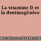La vitamine D et la dentinogénèse